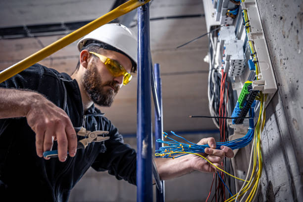 Best Electrical System Inspection  in Isanti, MN