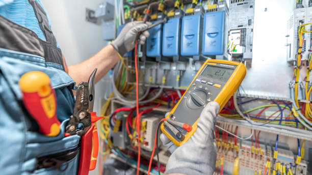 Best Electric Panel Repair  in Isanti, MN